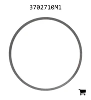 AGCO 3702710M1 Регулировочная шайба