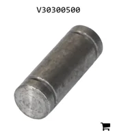 AGCO V30300500 Палец