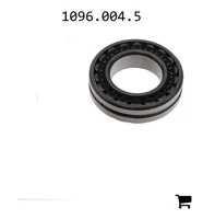 AGCO 1096.004.5 Радиальный подшипник