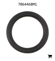 AGCO 7064468M1 Уплотнительное кольцо