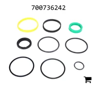 AGCO 700736242 Комплект уплотнений