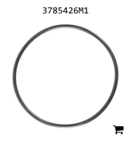 AGCO 3785426M1 Уплотнительное кольцо