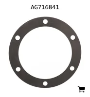 AGCO AG716841 Шайба