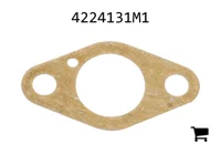 AGCO 4224131M1 Шарнир