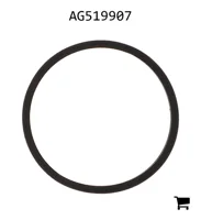 AGCO AG519907 Уплотнение