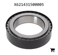 AGCO X621431500005 Цилиндрический роликовый подшипник