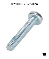 AGCO H218PF257502A Винт с овальной головкой