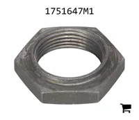 AGCO 1751647M1 Гайка