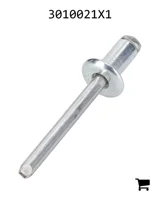 AGCO 3010021X1 Заклепка