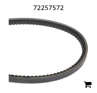 AGCO 72257572 Ремень