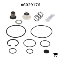 AGCO AG029176 Комплект клапанов