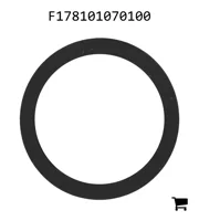 AGCO F178101070100 Уплотнительная шайба