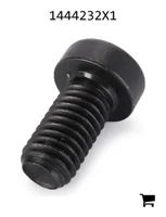 AGCO 1444232X1 Винт с внутренним шестигранником