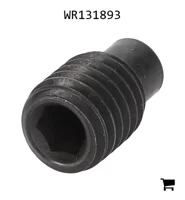 AGCO WR131893 Установочный винт