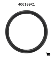 AGCO 400100X1 Уплотнительное кольцо