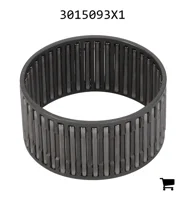 AGCO 3015093X1 Игольчатый подшипник
