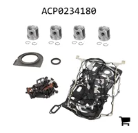 AGCO ACP0234180 Комплект для капитального ремонта двигателя