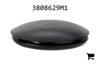 AGCO 3808629M1 Заглушка