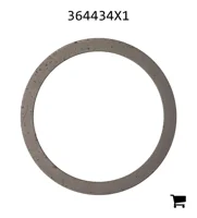 AGCO 364434X1 Шайба