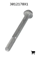 AGCO 3012178X1 Болт с шестигранной головкой и фланцем