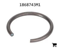 AGCO 1868743M1 Стопорное кольцо