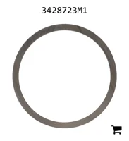 AGCO 3428723M1 Шайба