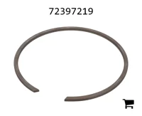 AGCO 72397219 Стопорная шайба