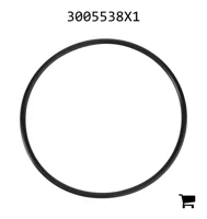 AGCO 3005538X1 Уплотнительное кольцо фланца коробки передач, Ø 79,50 x 3,00 мм