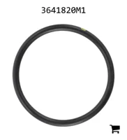 AGCO 3641820M1 Уплотнительное кольцо