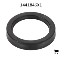 AGCO 1441846X1 Уплотнительное кольцо скребка