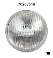 AGCO 70268648 Фара