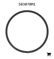 AGCO 503070M1 Кольцо