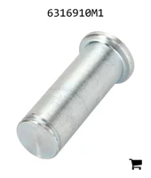 AGCO 6316910M1 Палец