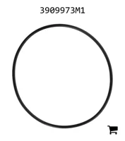 AGCO 3909973M1 Уплотнительное кольцо