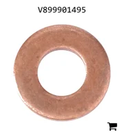 AGCO V899901495 Уплотнительная шайба топливного насоса