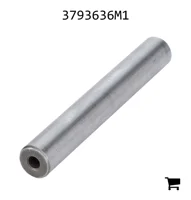 AGCO 3793636M1 Палец вилки