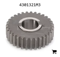 AGCO 4301321M3 Шестерня дифференциала