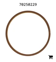 AGCO 70250229 Кольцо