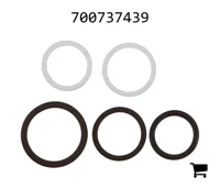 AGCO 700737439 Ремкомплект