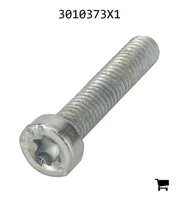 AGCO 3010373X1 Винт с потайной головкой