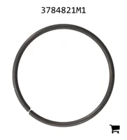 AGCO 3784821M1 Кольцо