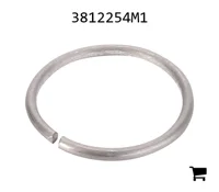 AGCO 3812254M1 Стопорное кольцо