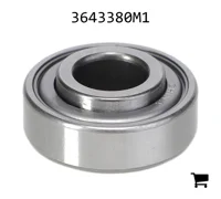 AGCO 3643380M1 Цилиндрический шариковый подшипник