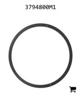 AGCO 3794800M1 Сегмент, Ø 49,87 мм