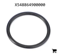 AGCO X548864900000 Уплотнительное кольцо планетарной передачи