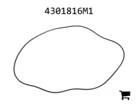 AGCO 4301816M1 Прокладка