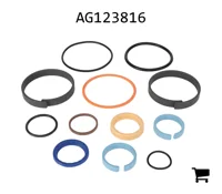 AGCO AG123816 Ремкомплект