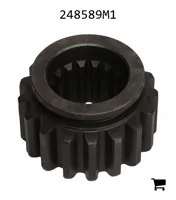 AGCO 248589M1 Шестерня
