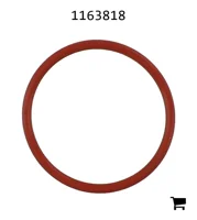 AGCO 1163818 Масляный сальник