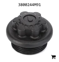 AGCO 3800244M91 Заглушка